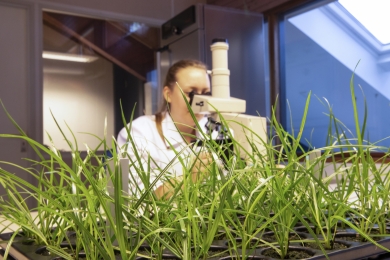 Seed_technology.jpg