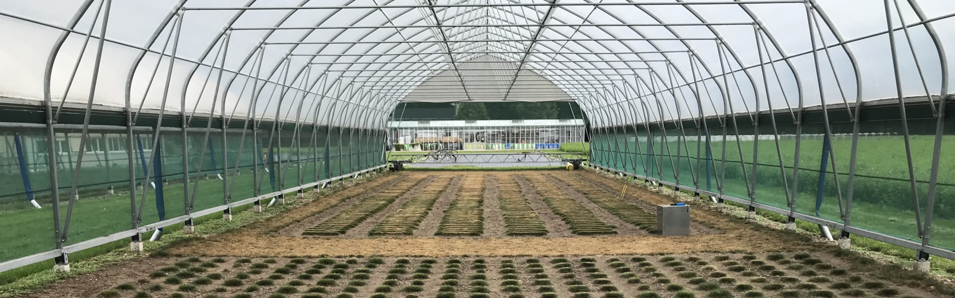 Plant selection drought