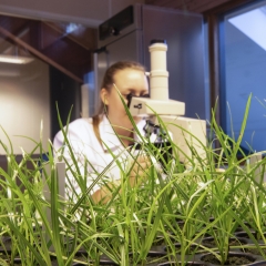 Seed_technology.jpg